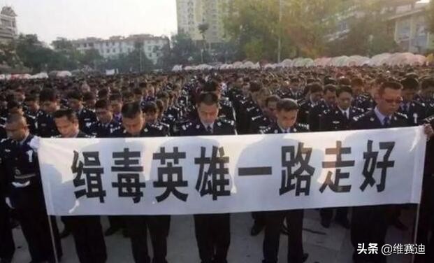 酒井法子一手好牌是如何被打烂的,酒井法子十大记忆