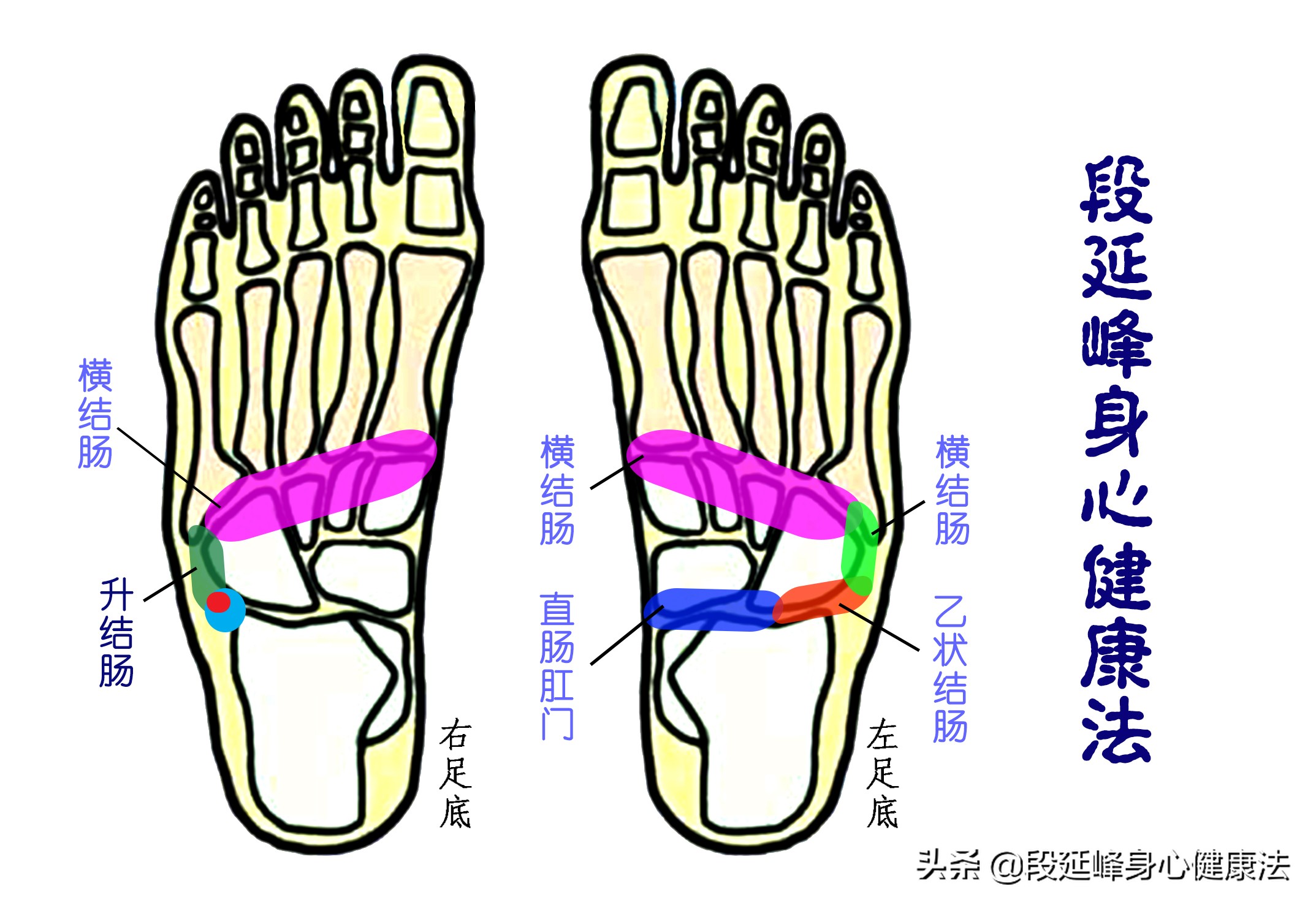 心中有术三个小妙招解决便秘,便秘费力怎么办