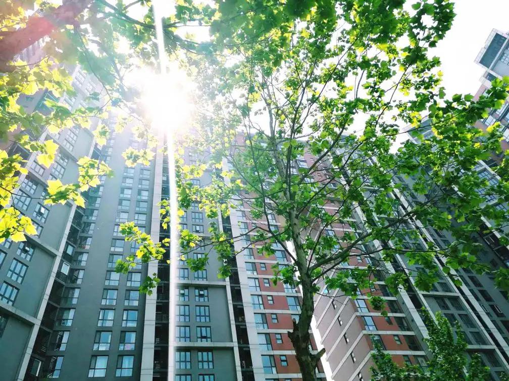 望京!曾经你爱答不理,现在你高攀不起?