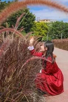 上海观赏草,上海之鱼冬天风景