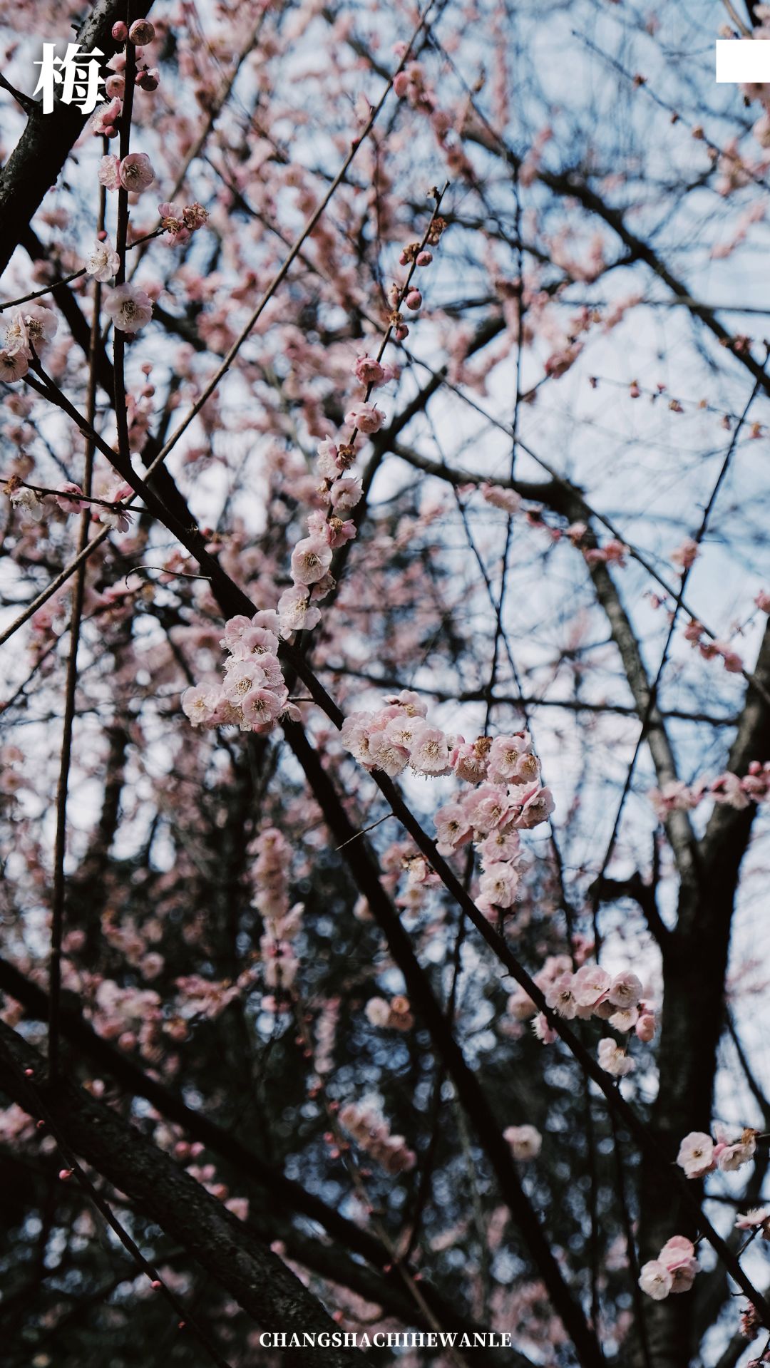 带你看看真正的长沙,带你感受长沙有多震撼
