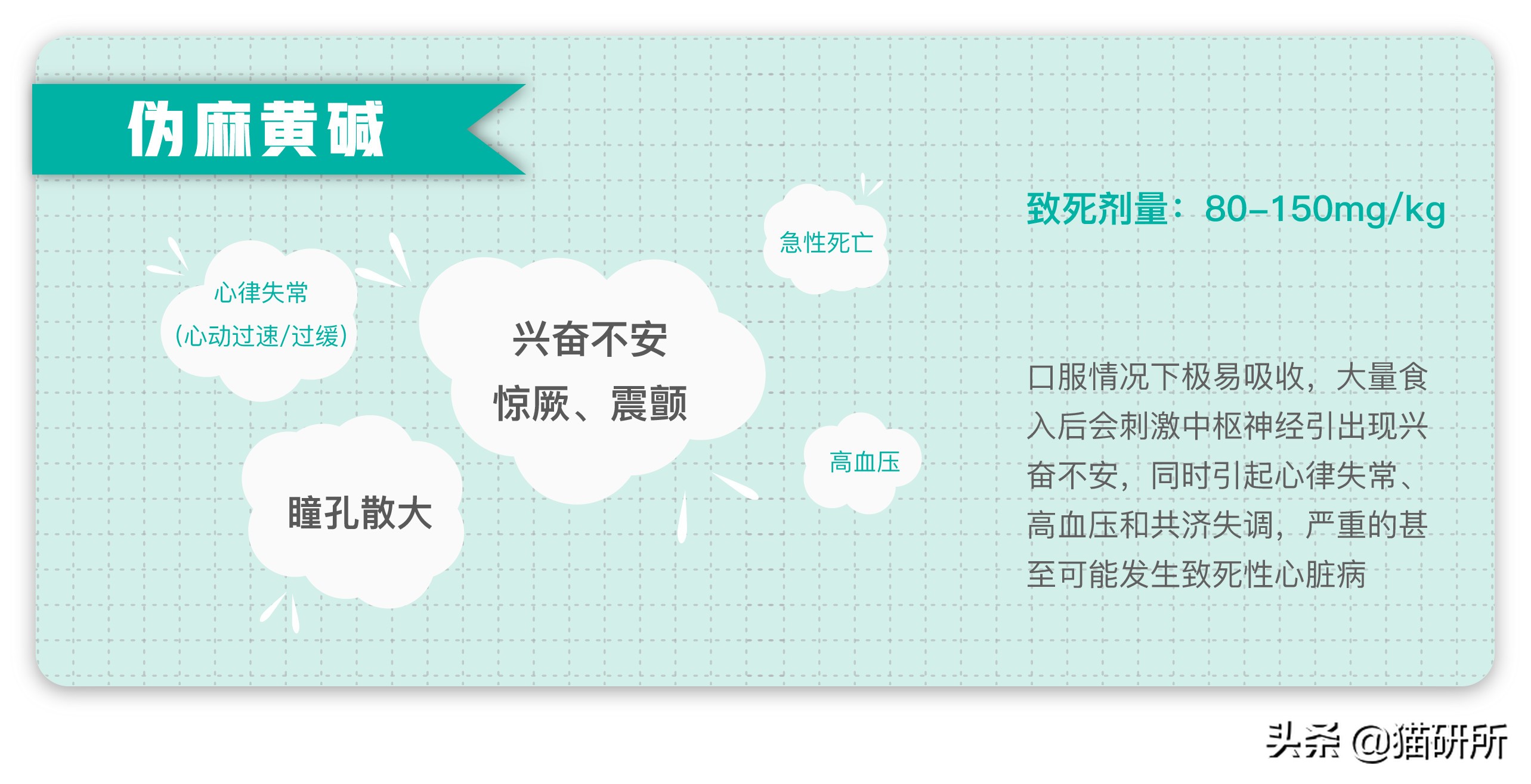 给猫粮投毒辟谣,猫吃人用感冒药吗