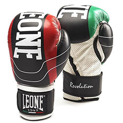 世界拳击排名前十名,世界拳击运动品牌