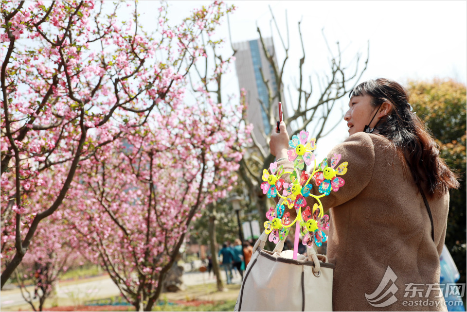 黄兴公园四季特色,黄兴公园美景