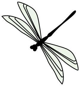 万物皆可supreme国潮原视频,万物皆可supreme原版