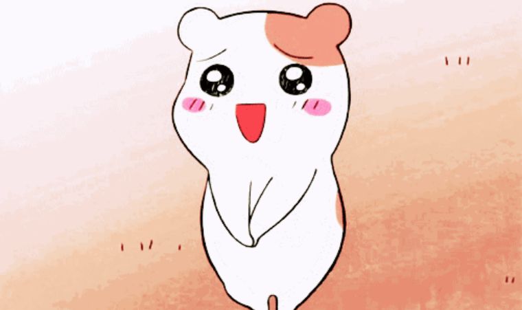 小众民宿住宿推荐,湖北郊游民宿