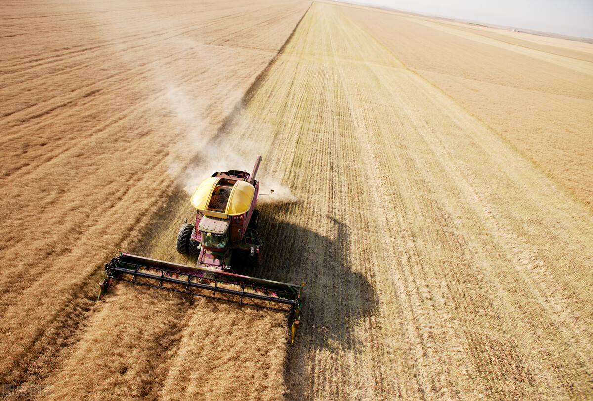 我们的经济从哪来,经济重心由北向南移的历程