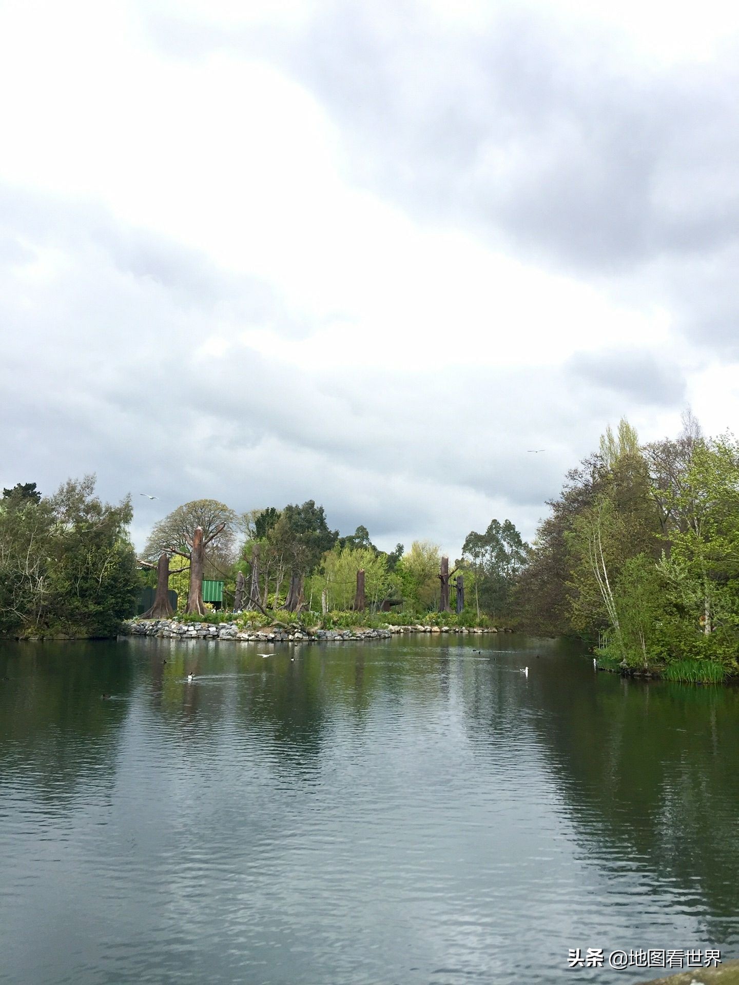 钀т集绾崇殑鍥藉,钀т集绾崇埍灏斿叞