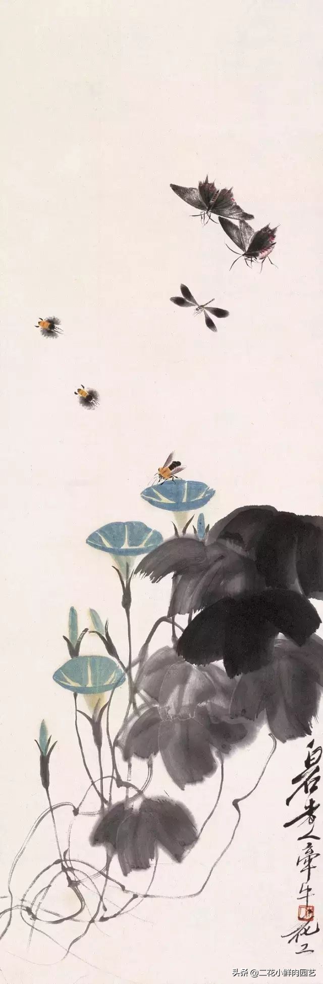 100种花卉绘画,100多张花卉线描手稿素材赶快收藏