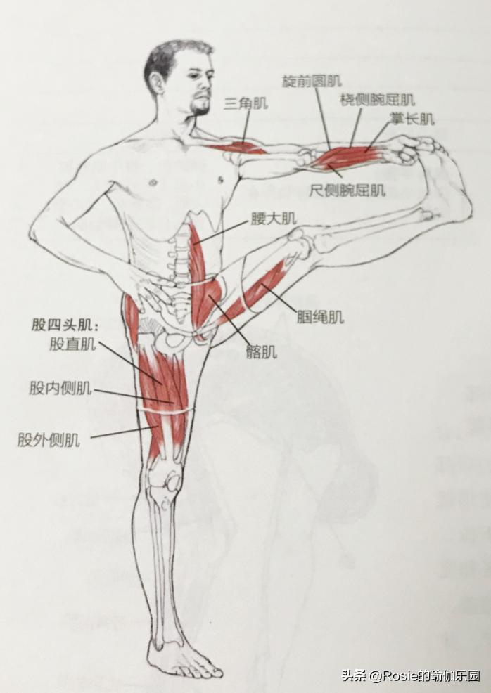 运动量过大腰疼怎么恢复,产后腰痛膝盖痛怎么锻炼