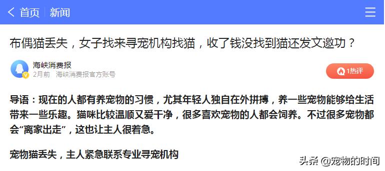 猫跑丢了怎么办猫会自己回来吗,农村猫丢了找猫的窍门