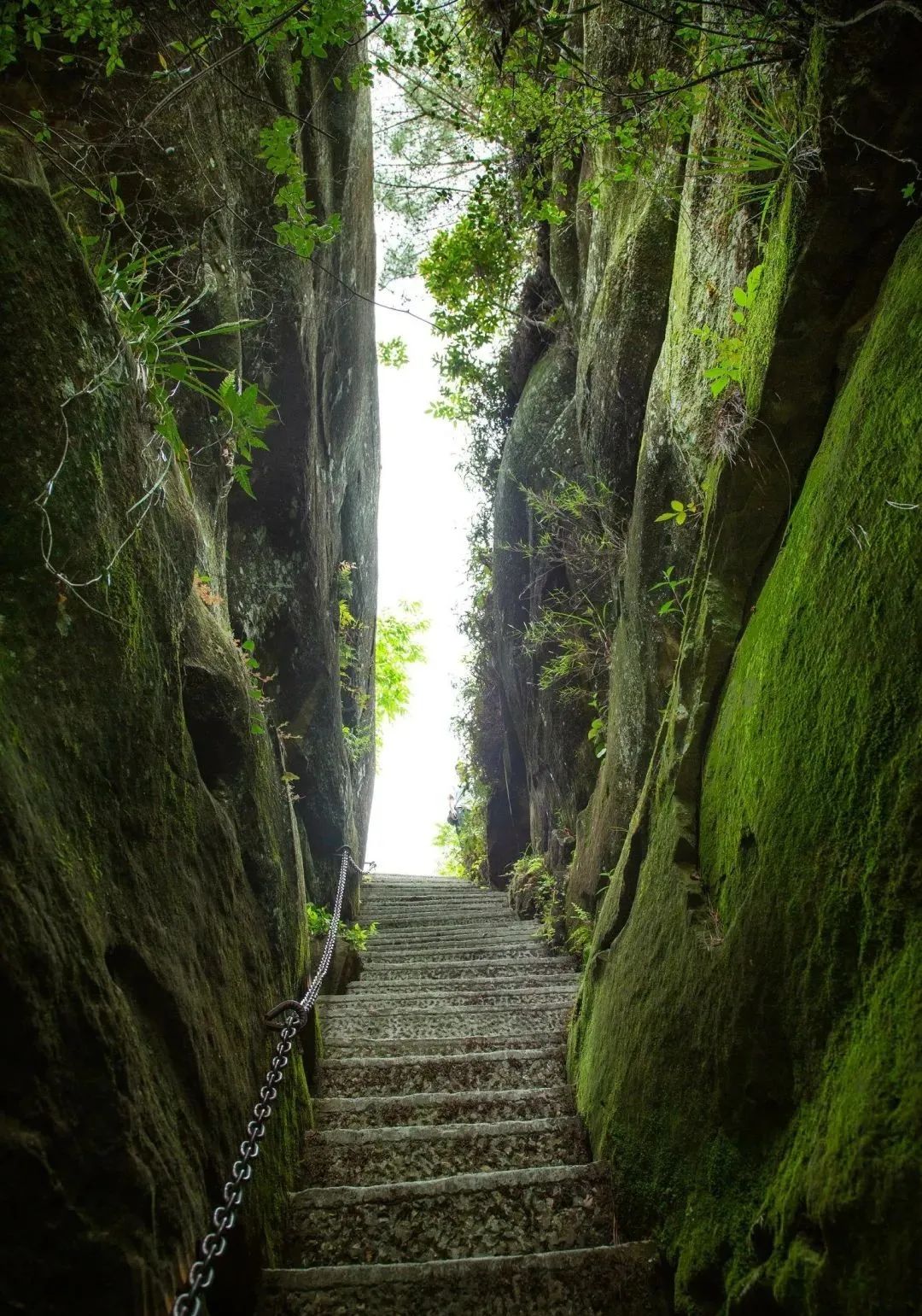 达州一座有温度的城市,达州一个有温度的城市