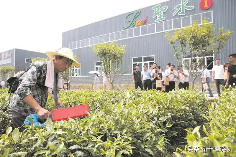 十堰第三季度项目拉练会,十堰市第一季度第二批38个项目