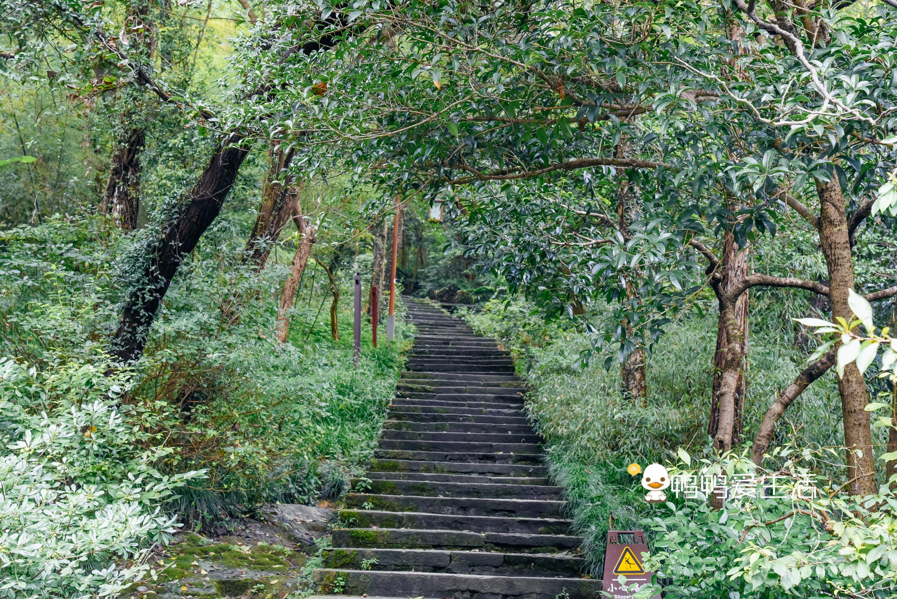 杭州乾隆游览过的景点,杭州景点推荐最值得去的景区