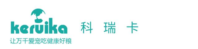 博美在换毛时该如何护理？「科瑞卡科普」