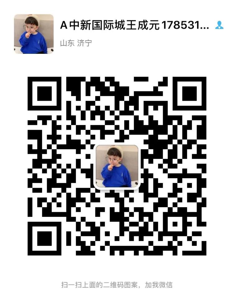 文旅城中新国际城,2019年中新国际城