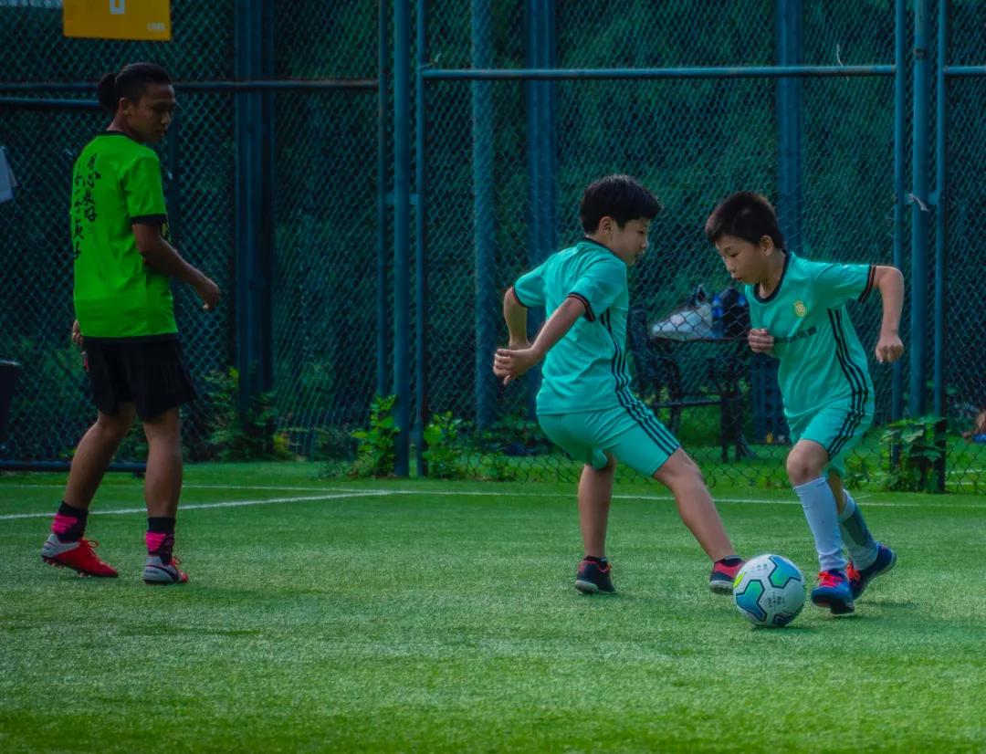 领跑体育少儿,领跑体育教育