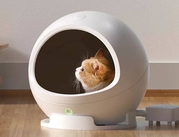 盘点致命的养猫玩具,猫咪新出网红用品