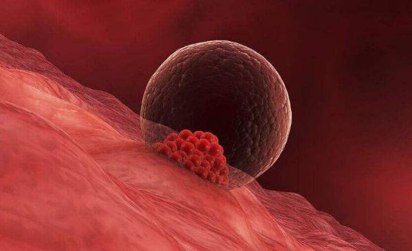 右侧优势卵泡备孕要侧躺吗,没有优势卵泡中医药能治疗吗