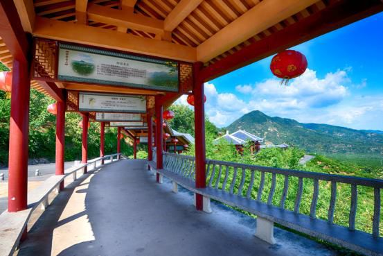 橘子红了广德,桔子红了椒江