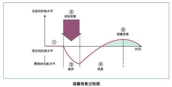 同样是肌肉男，为什么彭于晏比不上张家辉？两招教你辨别真肌肉！