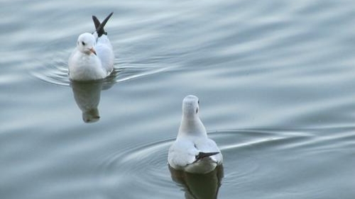 爱一个人要怎么做才算爱,爱了一个不该爱的人怎么办