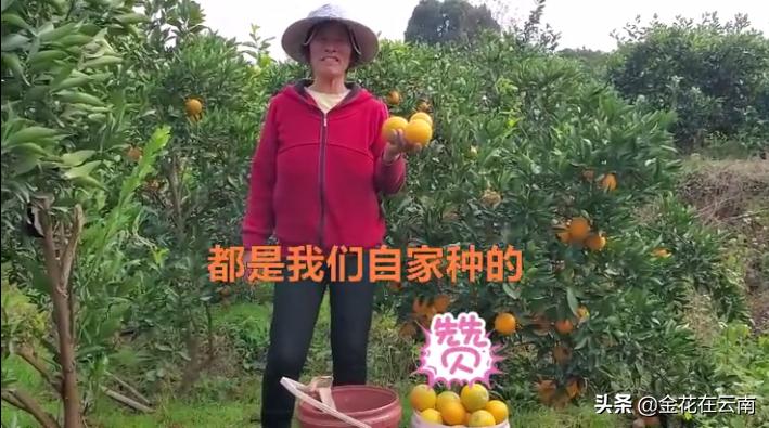 临近年关吃东西容易上火，就让这款小甜橙拯救一下