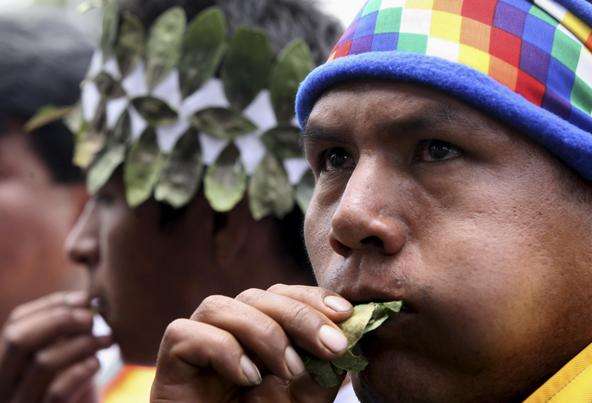 作为可口可乐曾经的神秘配方，*卡因可**是如何从药物变成*品毒**的？