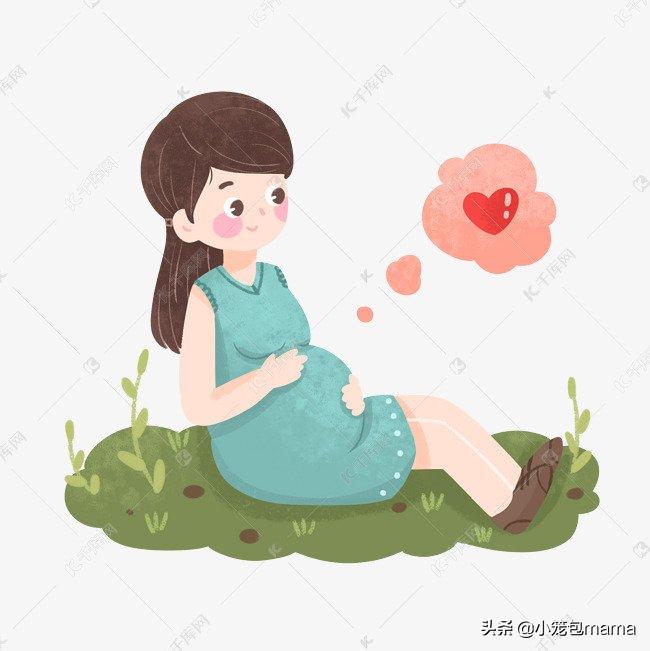 尊重生命完整版视频,尊重生命感动视频