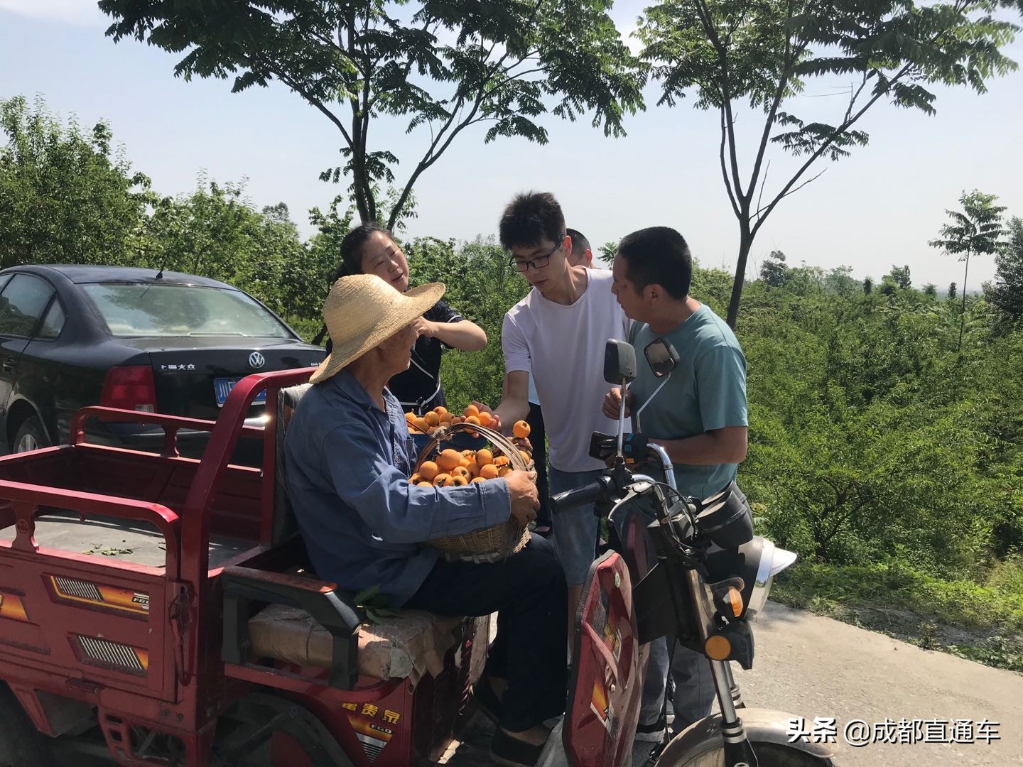 鏉ㄥ浆鍒涗笟鏁呬簨,鏉ㄥ浆鍒涗笟璺笂