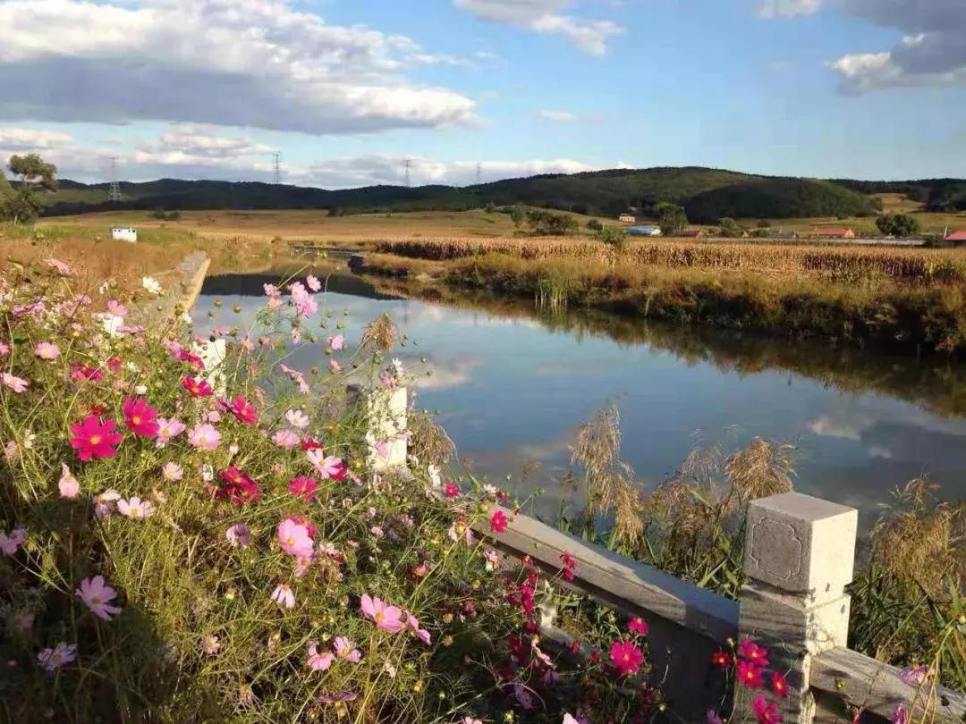 沈阳比较好的民宿,沈阳精品民宿推荐