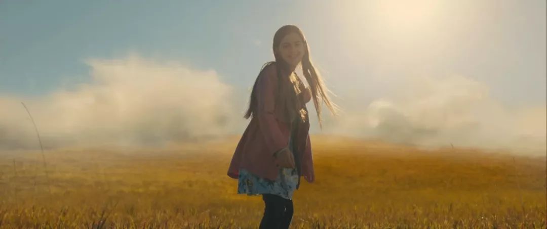 暖心治愈萌宠电影,萌宠电影超感人