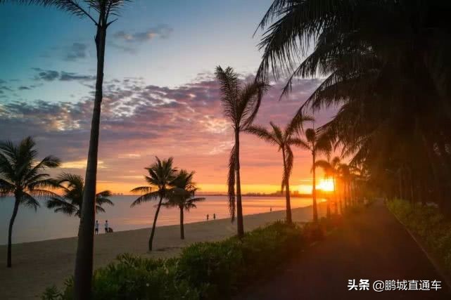 从深圳去美国的机票多少钱,深圳到沈阳直飞一月份机票多少钱