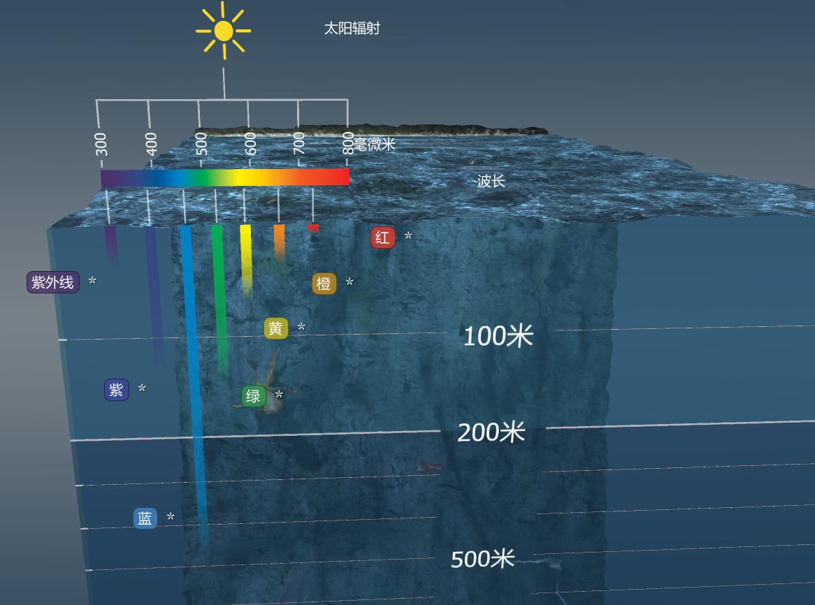 开学了，和孩子一起来看看一看海洋的分层是如何区分的吧
