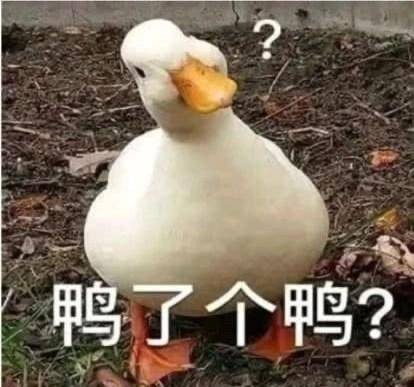 时尚复古凉鞋,复古新风格凉鞋