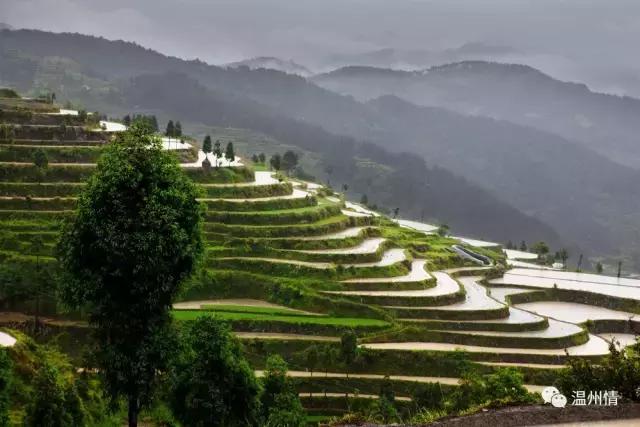 温州168海岸线沿途景点地图,温州60个免费景点大全