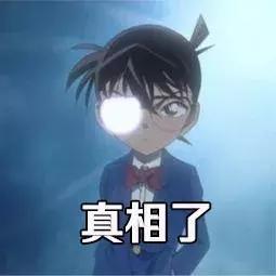 now和go区别,now和go猫粮哪个更好