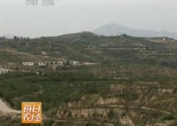 昔日“光棍村”，小伙子宁肯出去倒插门，如今村民纷纷盖新房买汽车