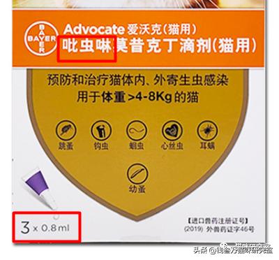 哪种蟑螂药有用并且不伤害猫咪,对猫最安全的蟑螂药