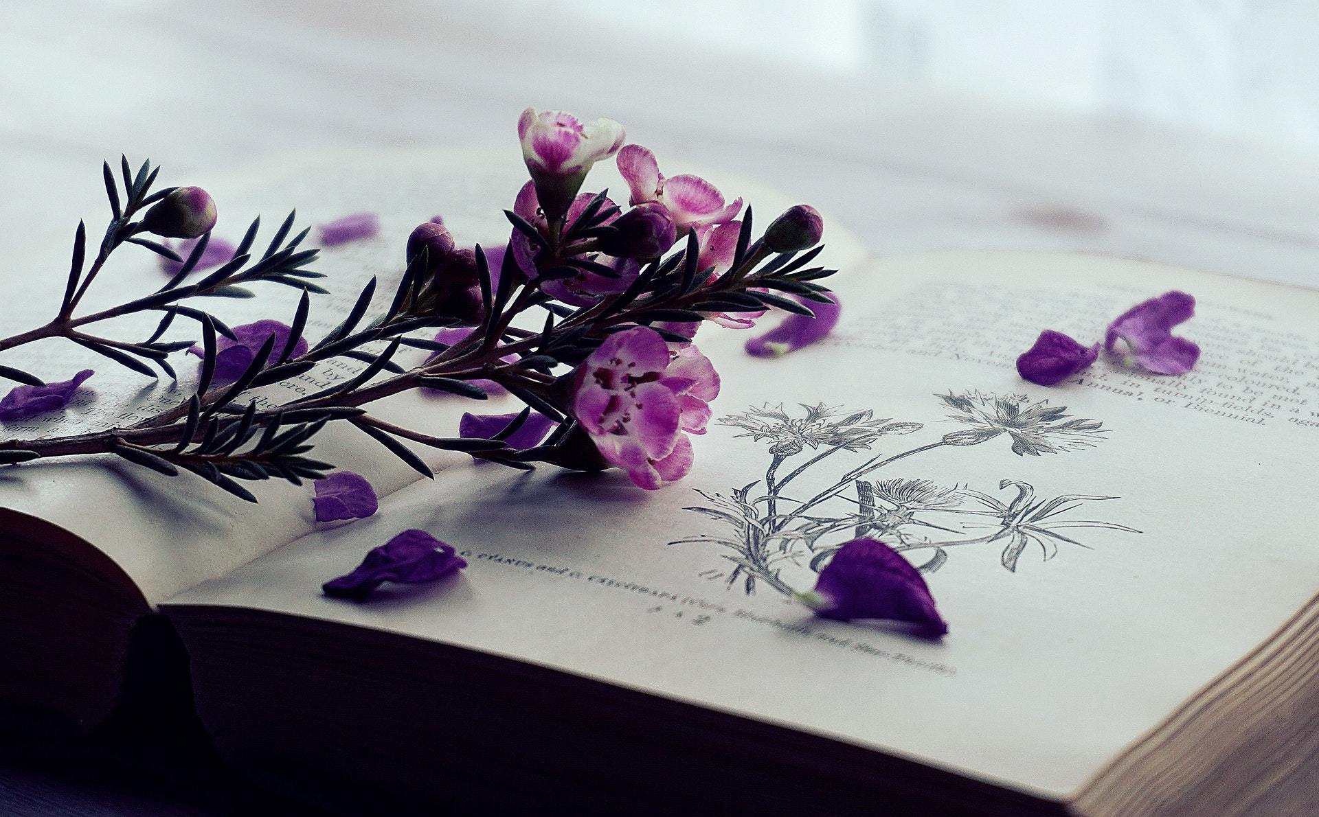 失恋了怎么办如何走出分手的痛苦,12星座分手后什么时候能走出失恋