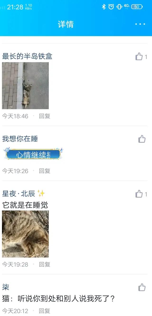 哈哈哈哈哈我笑到我家的狗偷开邻居家的车送我去精神病院