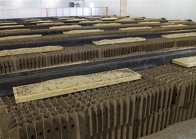 食用蟋蟀养殖赚钱吗农村,食用蟋蟀养殖