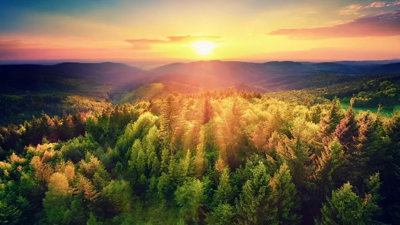 林炎志：不代表利益集团的中国*产党共**，如何驾驭资本？|文化纵横