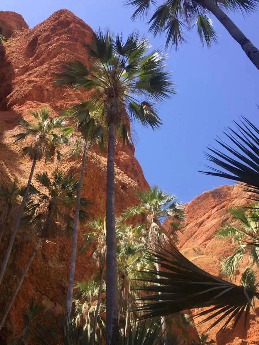 地球最美伤疤,地球最美伤痕在哪里