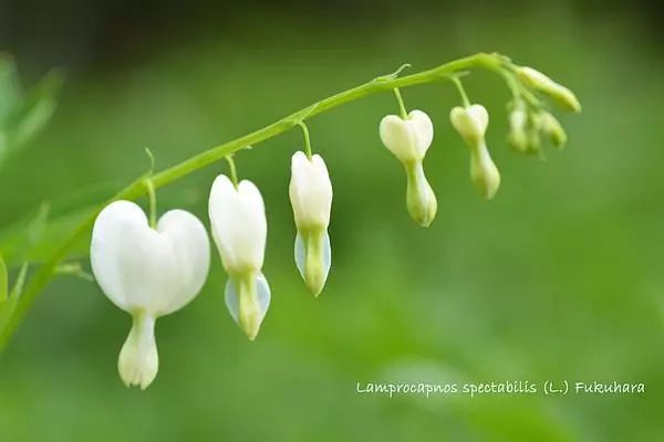 8个细节告诉你身边的人谁最靠谱,记住这八点看出身边人谁最靠谱