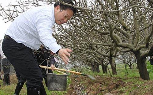 秋季温差大阴雨多，山楂容易出现轮纹病，学会科学防治减少损失