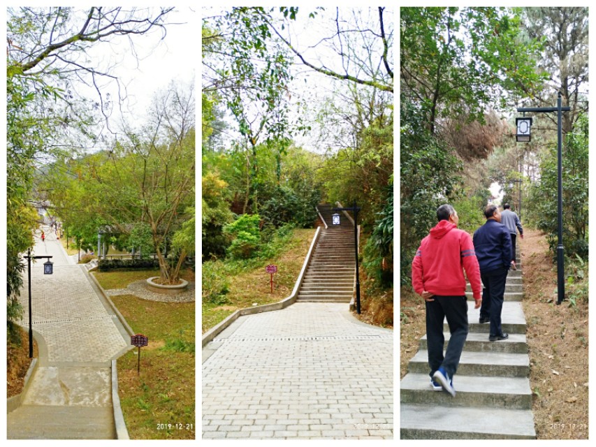 双鹤起舞松林醉——游灵山双鹤公园偶感