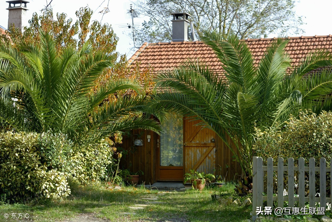 美国麻州考驾照笔试题,加州驾照笔试题和答案