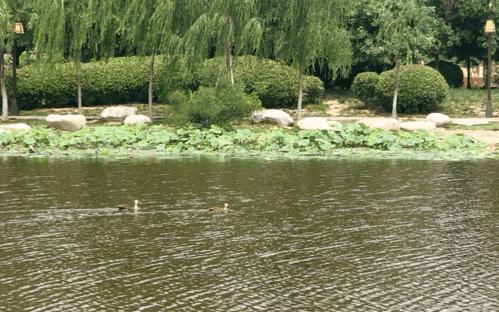 西安草滩马尔代夫,咸阳沙滩马尔代夫