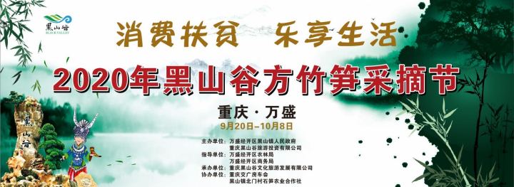 黑山谷采摘刺竹笋,高山野笋采摘